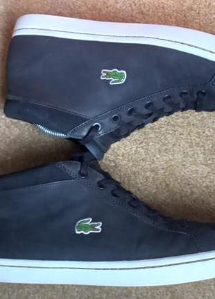 Черевики lacoste straightset shukka р.43.5 оригінал 8