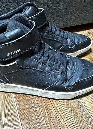 Осінні черевики geox