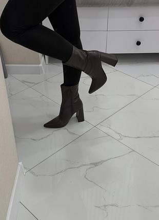 Коричневі ботильйони 5