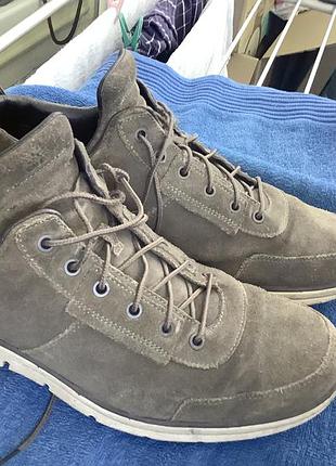 Туфлі замшеві чоловічі timberland