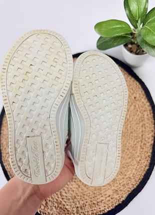 Хайтопи skechers 7