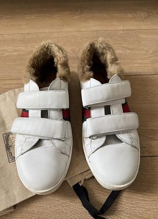Кеды gucci оригинал 2