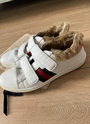 Кеды gucci оригинал 4