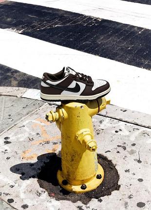 Nike dunk low next nature brown/white 7