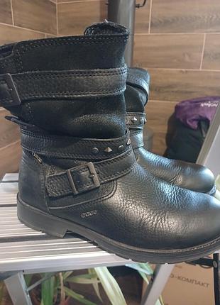 Зимові черевики ecco