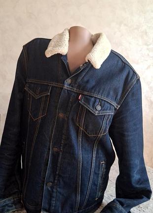 Чоловіча тепла джинсова куртка levi's, синя