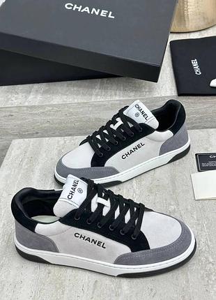 Кеди chanel 36-41 сірі кросівки