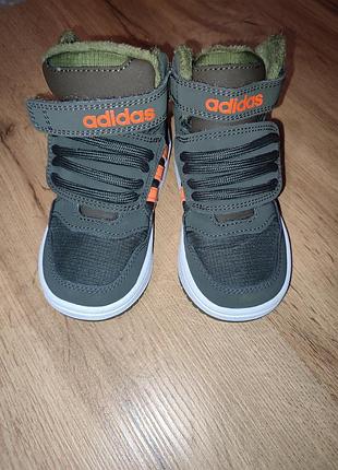 Черевики для дітей adidas демісезонні, хакі, 14,5 см