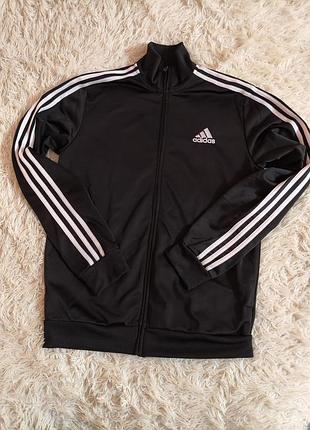 Олімпійка чоловіча adidas m 2