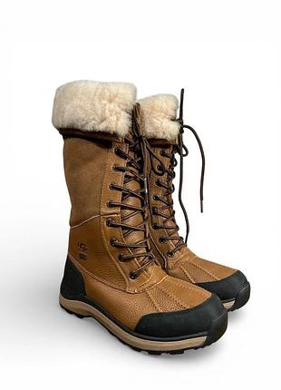 Жіночі зимові чоботи ugg adirondack iii tall boot у класичному кольорі chestnut (каштановий).розмір:37,5
