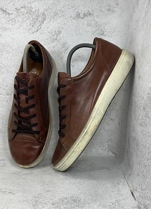 Шкіряні чоловічі коричневі кросівки ecco soft 7