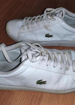 Стильные оригинал белые кожаные кеды кроссовки lacoste carnaby.46