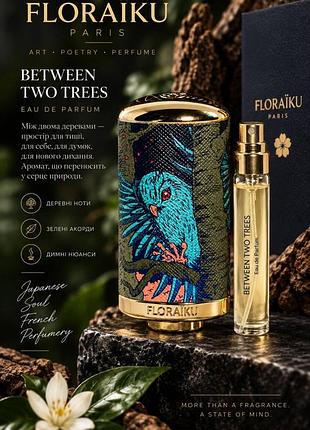 Оригінал мініатюра floraiku between two trees froraïku
