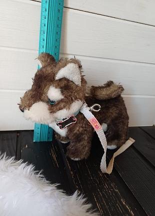 Мягкая игрушка собачка пес хаски для куколour generation husky pup от battat