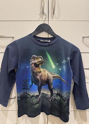 Реглан molo reif meteor dino