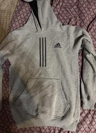 Світшот adidas