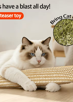Игрушка для кота с кошачьей мятой, 100% травы