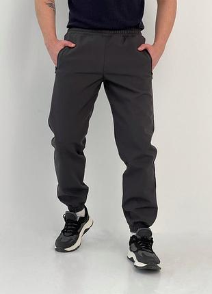 Штаны мужские брюки утеплённые с флисом темно-серые 3xl
