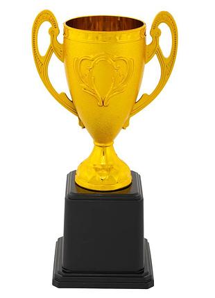 Кубок спортивний нагородний sport trademystery xg006 висота 20см кольори в асортименті