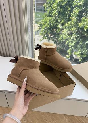 Ugg, уггі жіночі