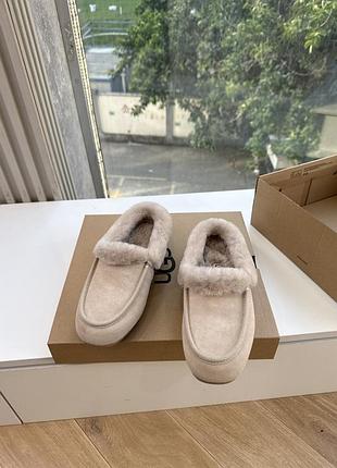 Ugg , угі жіночі