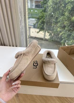 Ugg , угі жіночі 2