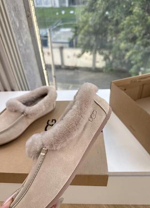 Ugg , угі жіночі 5