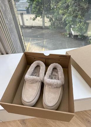 Ugg , угі жіночі 7
