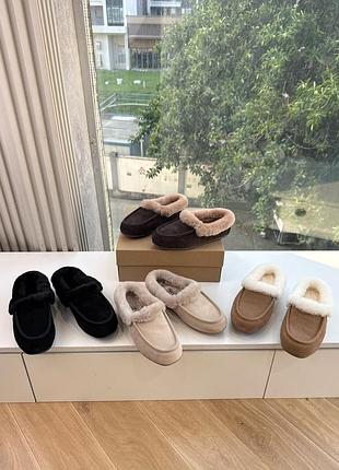 Ugg , угі жіночі 8