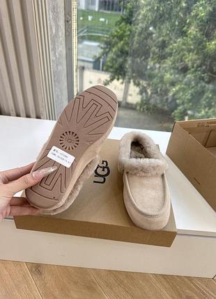 Ugg , угі жіночі 6