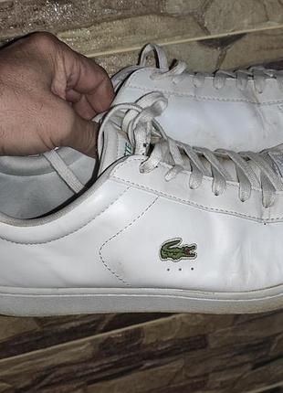 Стильные оригинал белые кожаные кеды кроссовки lacoste carnaby.46