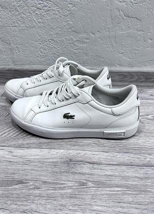 Кеди lacoste білі, р. 37
