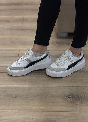 Кеди від puma оригінальні