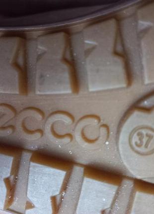 Ботинки женские ecco 37р 24,5см индонезия 4