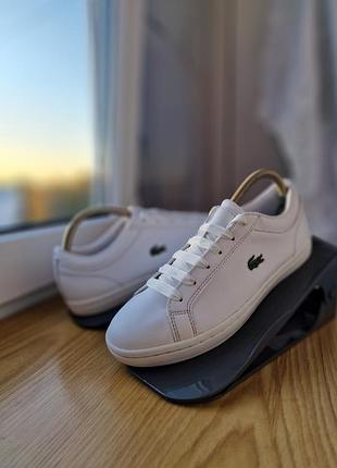 Шкіряні білі кросівки lacoste розмір 39