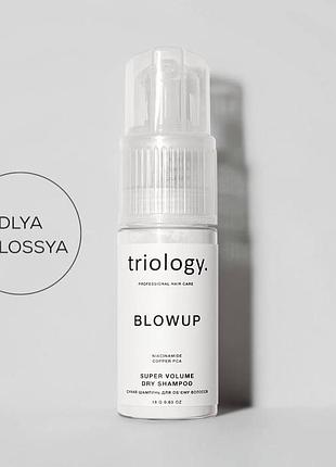 Сухой шампунь для объема волос blowup triology
