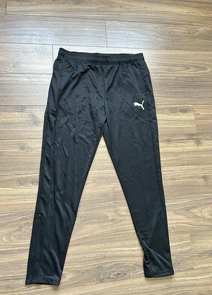 Чоловічі спортивні штани puma