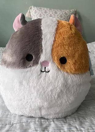 М'яка іграшка squishmallows морська свинка еверетт 30 см