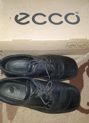 Шкіряні туфлі ecco