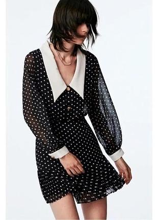 Сукня в горох з коміром zara міні жіноча с-м