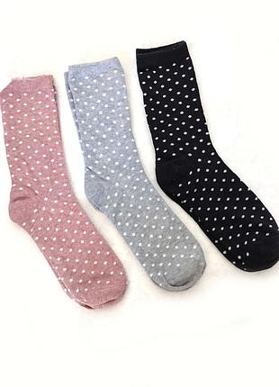 Шкарпетки бавовна esmara 39-42