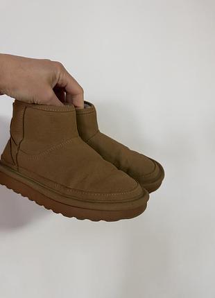 Чоботи черевики уги zara 3