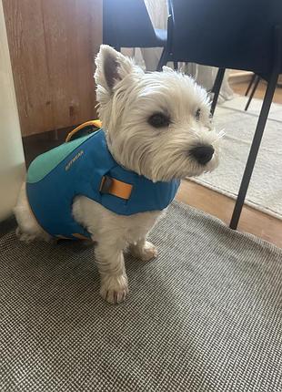 Рятувальний жилет для собак ruffwear рятівний одяг