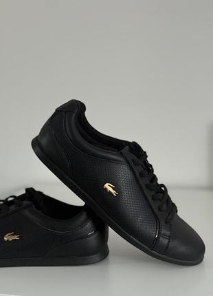 Кросівки lacoste оригінал шкіра