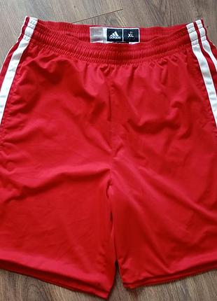 Брендовые шорты adidas.