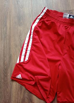 Брендовые шорты adidas. 3