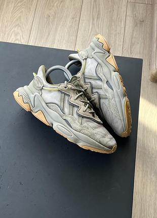 Кросівки adidas 5