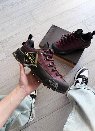 The north face glenclyffe low bordo