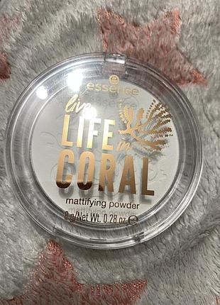 Пудра матуюча essence life in coral