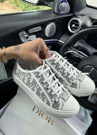 В наявності кеди dior